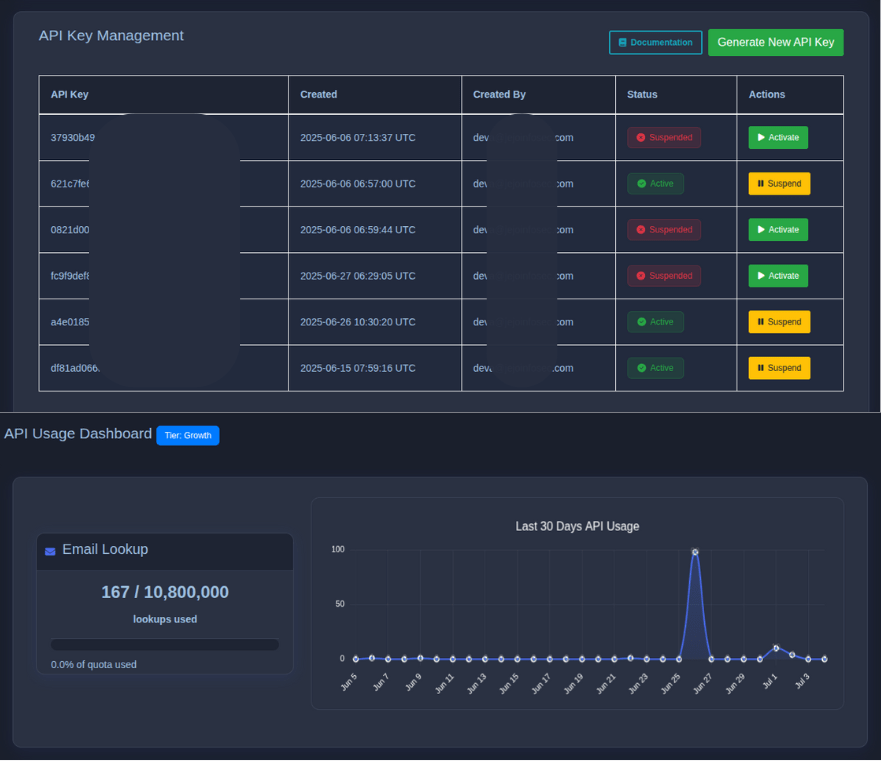 API Usage Dashboard