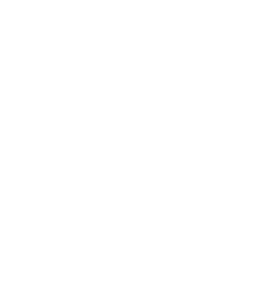 BlackDice Logo