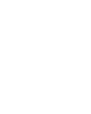 IOPEX Logo