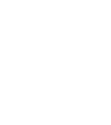Verosint Logo